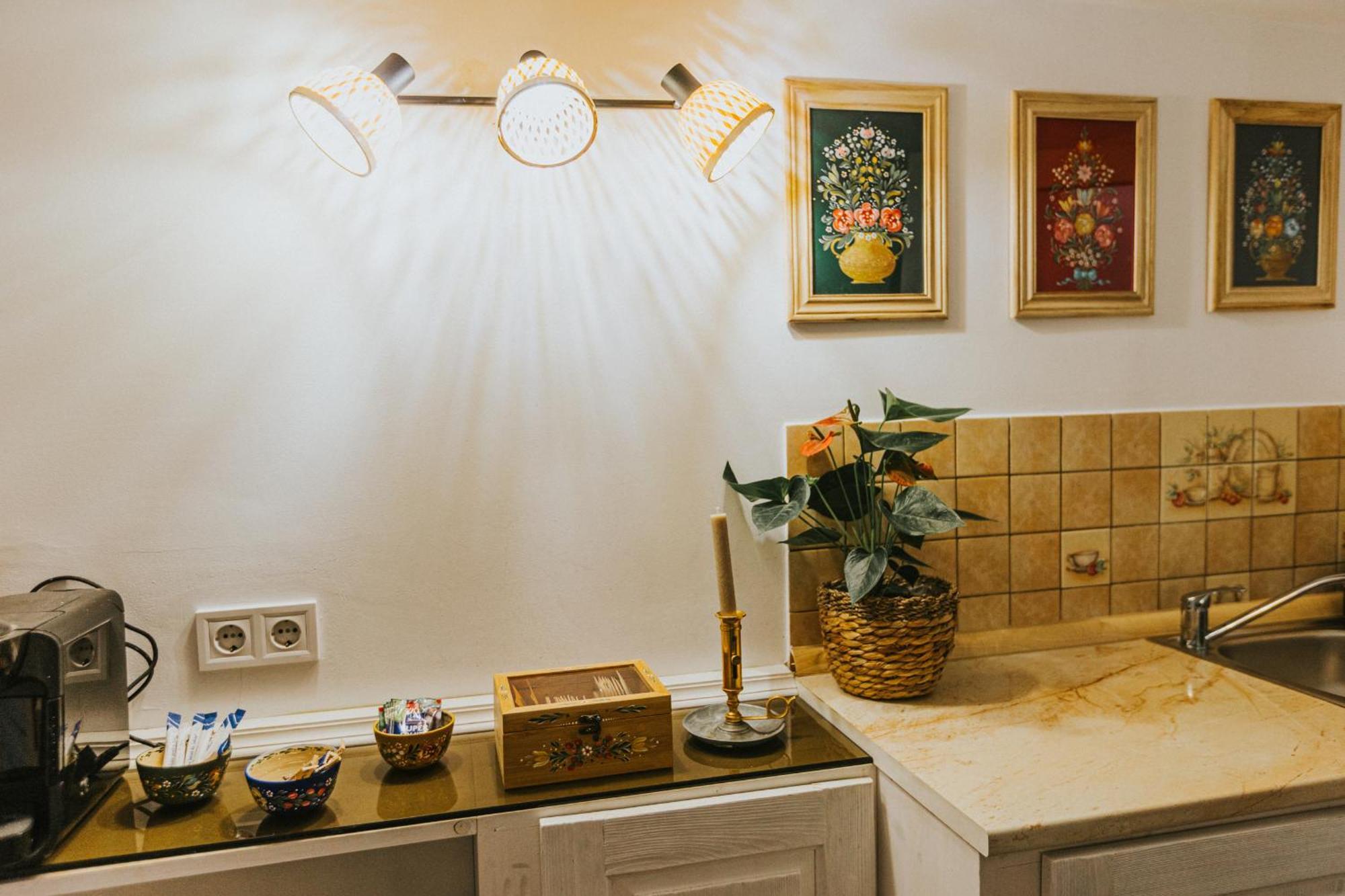 Republicii Rustic Apartament In Brasov City Center Eksteriør billede