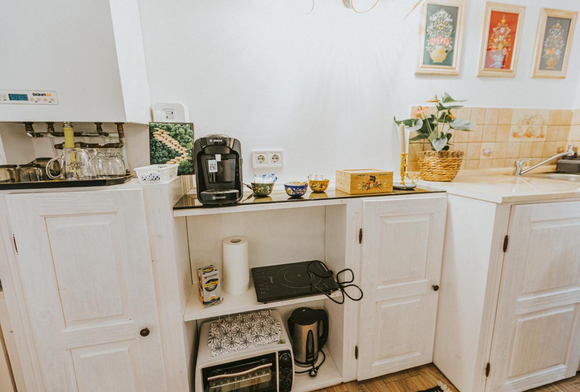Republicii Rustic Apartament In Brasov City Center Eksteriør billede