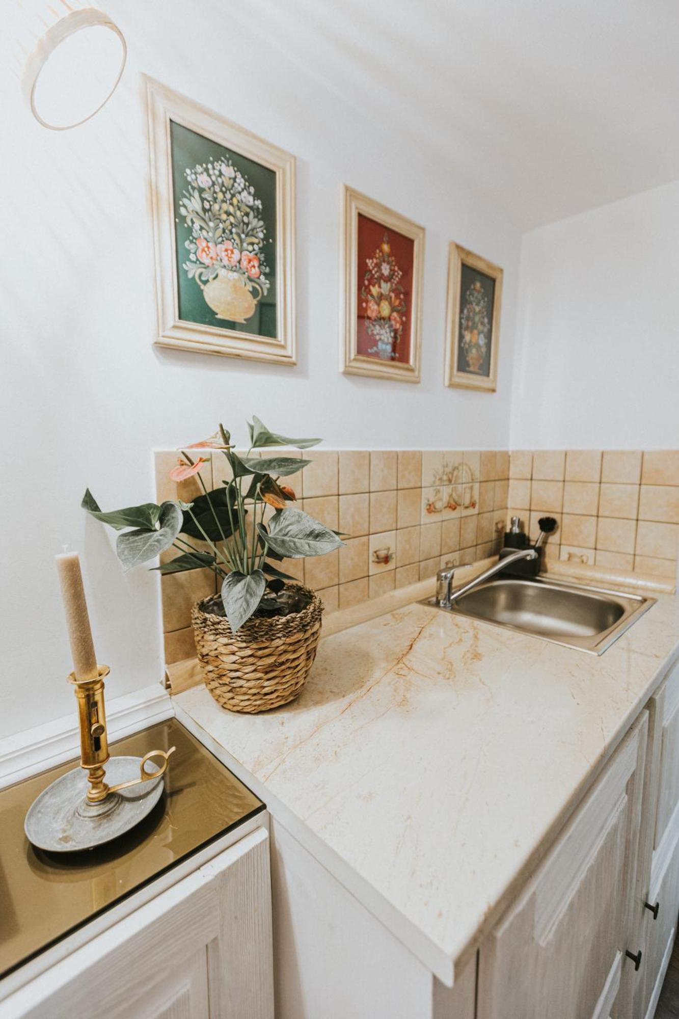 Republicii Rustic Apartament In Brasov City Center Eksteriør billede